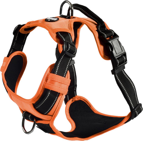 Bobby Rando Walk - Pettorina per cani Taglia S, in Nylon Riflettente, Fibbie Regolabili a Chiusura Sicura, Facile da Indossare, Arancio Girocollo 32-48 cm, Giropetto 40-52 cm Visita lo Store di Bobby