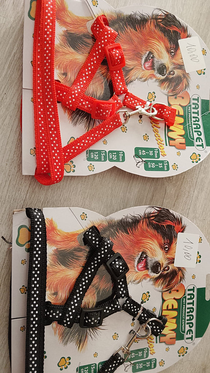 TATRAPET BENNY GUINZAGLIO PETTORINA PARURE COLORE ROSSO 1,5 -35-50 -120 CM