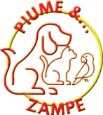 Piume & Zampe